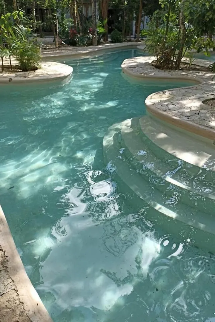 Διαμέρισμα Jungle Jacuzzi Studio Τουλούμ